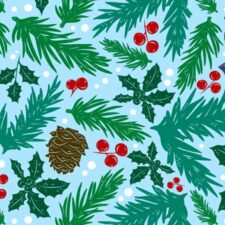 illustration of pine needles, pine cones, a bird, and snow