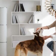 Igloo Software’s Landmark Year Scaling the Digital Workplace