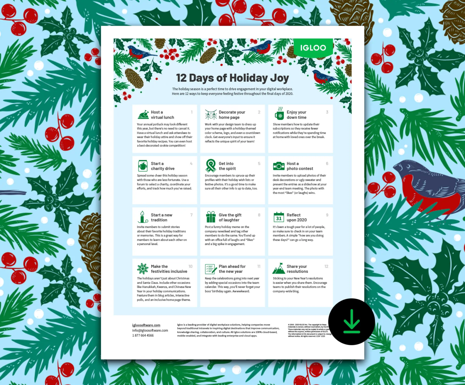 Image of 12 Days of HolidayJoy downloadable calendar