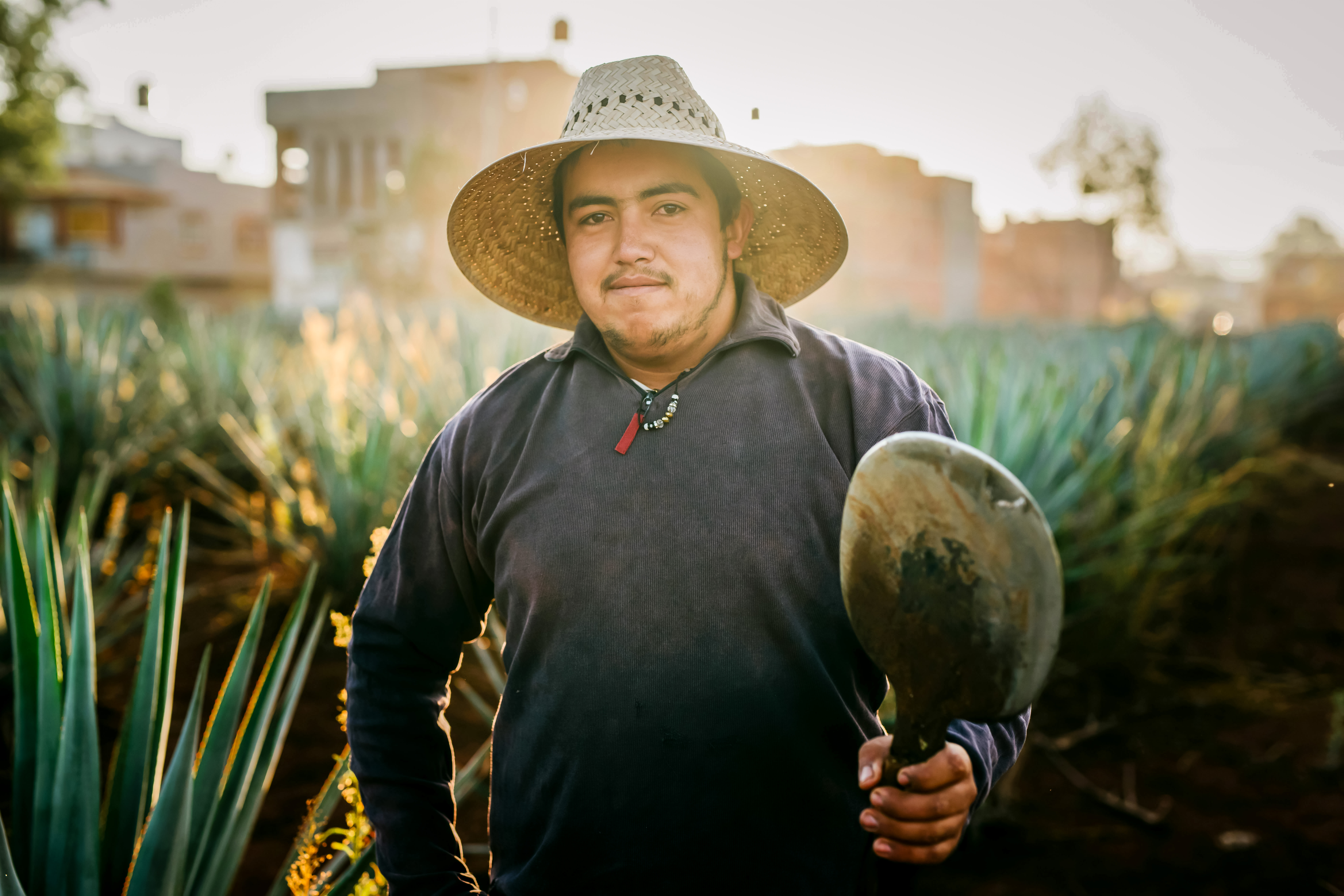 Employee Engagement Activities with Heifer International & Igloo
